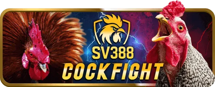 Chương trình Affiliate
